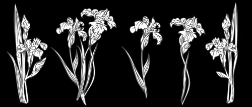 Цветок 068 (ирисы)